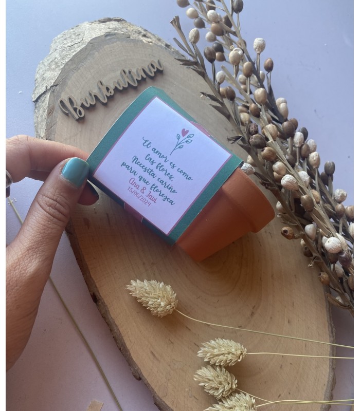 Maceta con semillas para invitados