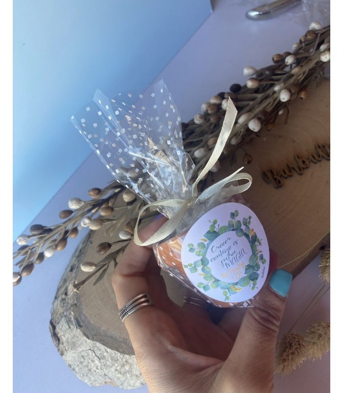 Maceta con semillas para invitados