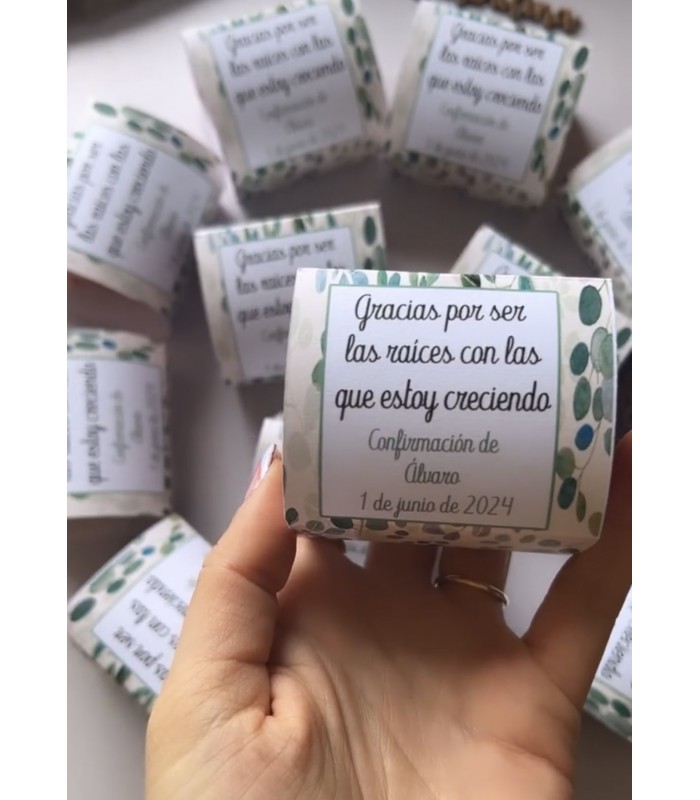 Maceta con semillas para invitados