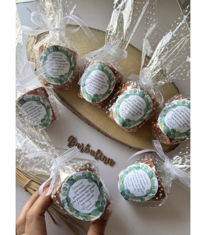 Maceta con semillas para invitados